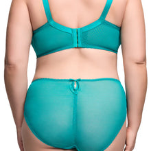 Load image into Gallery viewer, Dita Von Teese - Zsa Zsa Hi Cut Brief - Peacock