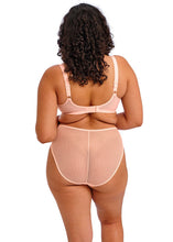 Load image into Gallery viewer, Elomi Charley High Leg Brief - Ballet Pink