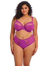 Load image into Gallery viewer, Elomi Matilda UW Plunge Bra - Hollyhock