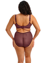 Load image into Gallery viewer, Elomi Matilda UW Plunge Bra - Sugar Plum