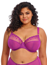Load image into Gallery viewer, Elomi Matilda UW Plunge Bra - Hollyhock