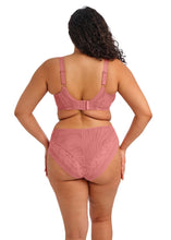 Load image into Gallery viewer, Elomi Nerina U/W Plunge Bra - Dusty Rose