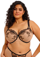 Load image into Gallery viewer, Elomi Teagan Padded Half Cup U/W Bra - Cafe Au Lait