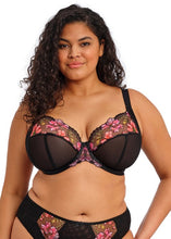 Load image into Gallery viewer, Elomi Teagan U/W Plunge Bra - Rainbow