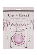 Load image into Gallery viewer, Secret Weapons Lingerie Washbag