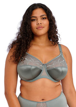 Load image into Gallery viewer, Elomi Cate Full Cup U/W Bra - Willow