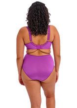 Load image into Gallery viewer, Elomi Cate Full Cup U/W Bra - Dahlia