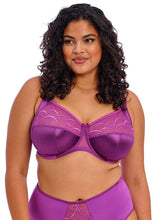 Load image into Gallery viewer, Elomi Cate Full Cup U/W Bra - Dahlia
