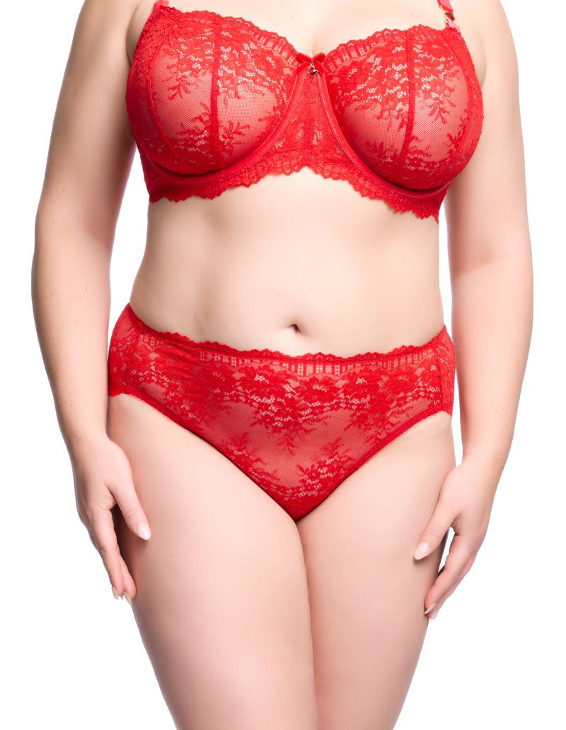 Dita Von Teese Floradora Hi Cut Brief - Flame