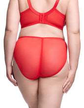 Load image into Gallery viewer, Dita Von Teese Nom De Plume Hi Cut Bikini - Flame
