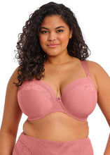 Load image into Gallery viewer, Elomi Nerina U/W Plunge Bra - Dusty Rose

