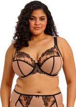 Load image into Gallery viewer, Elomi Teagan U/W Plunge Bra - Cafe Au Lait
