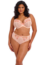 Load image into Gallery viewer, Elomi Himari High Leg Brief - Peach Whisper
