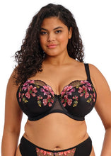 Load image into Gallery viewer, Elomi Teagan Padded Half Cup U/W Bra - Rainbow
